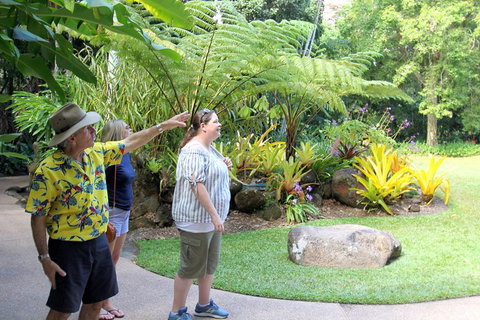 Cairns Shore Excursion: Cairns City Sights & Surrounds Tour - South Australia Travel 4