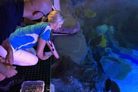 Cairns Aquarium Marine Life Encounter Ticket With 2-Course Lunch - South Australia Travel 2