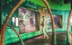 Cairns Aquarium Marine Life Encounter Ticket With 2-Course Lunch - thumb 3