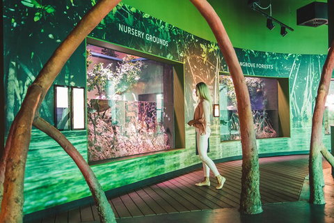 Cairns Aquarium Marine Life Encounter Ticket With 2-Course Lunch - South Australia Travel 3