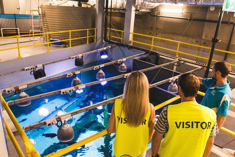 Cairns Aquarium Marine Life Encounter Ticket With 2-Course Lunch - South Australia Travel 5