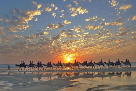 Broome City Sightseeing Tour With Optional Camel Ride - South Australia Travel 1