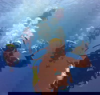 12-Day Great Barrier Reef Marine Conservation Program from Cairns - South Australia Travel