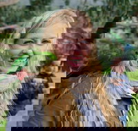 Great Ocean Road Reverse Itinerary with 12 Apostles from Melbourne - South Australia Travel