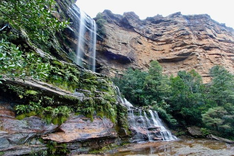 Blue Mountains Sunset Tour | Kangaroos & Koala Encounter (Private Tour) - South Australia Travel 2