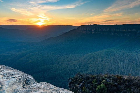 Blue Mountains Sunset Tour | Kangaroos & Koala Encounter (Private Tour) - South Australia Travel 5
