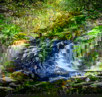 Day Tour in Mt. Field Mt. Wellington Bonorong Wildlife Sanctuary and Richmond - South Australia Travel