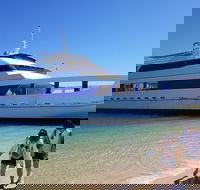 Moreton Island Day Trip Kayak Snorkel  Sandboard frm Brisbane or Gold Coast - South Australia Travel