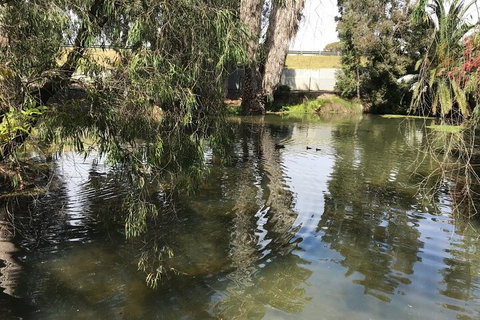 Perth East Foreshore And City Segway Tour - South Australia Travel 1