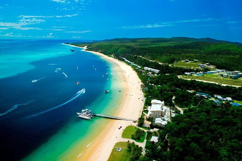 Tangalooma Island Resort Whale Watching Day Cruise - South Australia Travel 2