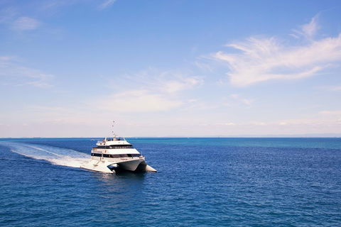 Tangalooma Island Resort Whale Watching Day Cruise - South Australia Travel 5