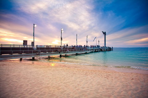 Tangalooma Island Resort Whale Watching Day Cruise With Dolphin Viewing - South Australia Travel 3