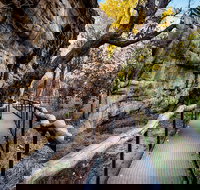 Kakadu National Park Cultural Experience - South Australia Travel