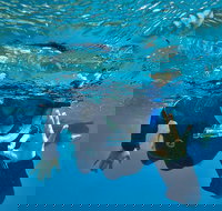 3 Day Whitsundays Sailing and Diving Adventure Kiana - South Australia Travel