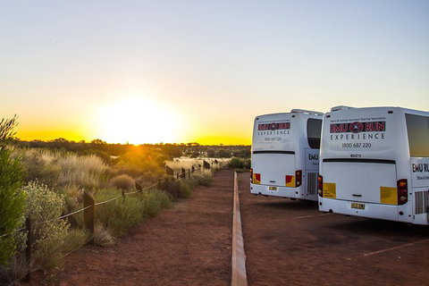 Uluru And Kata Tjuta Experience With BBQ Dinner - South Australia Travel 2