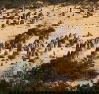 Pinnacles Sunset Dinner and Stargazing Experience a Small Group Tour - South Australia Travel