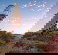 6-Day Coral Coaster from Perth to Exmouth One-Way via Monkey Mia Ningaloo Reef - South Australia Travel