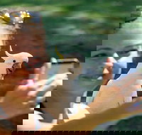 2-Day Melbourne to Adelaide Tour Great Ocean Road and Grampians One Way Trip - South Australia Travel