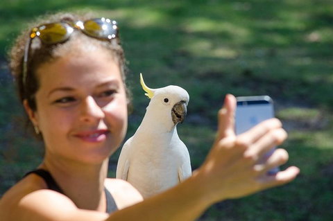 Melbourne To Adelaide South East Coast 3 Day Overland Tour - South Australia Travel 3