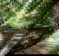 12 Apostles Eco-Friendly Great Ocean Road Iconic Adventure from Melbourne - South Australia Travel