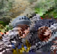 Small-Group Great Ocean Road and 12 Apostles Full-Day Tour from Melbourne - South Australia Travel