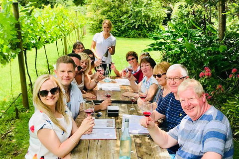 Mount Tamborine Wine Tasting Tour From Brisbane Or The Gold Coast - South Australia Travel 5