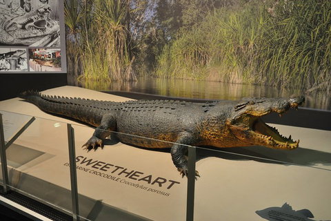 Explore Darwin City Sights Including Key Attractions - South Australia Travel 2