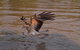 Litchfield And Jumping Crocodiles Full Day Trip From Darwin - thumb 0