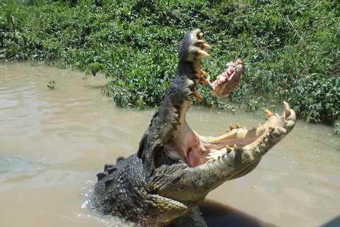 Litchfield And Jumping Crocodiles Full Day Trip From Darwin - South Australia Travel 3