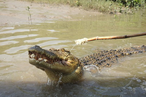Litchfield And Jumping Crocodiles Full Day Trip From Darwin - South Australia Travel 4