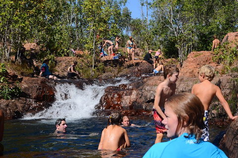 Litchfield And Jumping Crocodiles Full Day Trip From Darwin - South Australia Travel 5