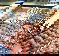 Pinnacles Desert Private Tour - South Australia Travel