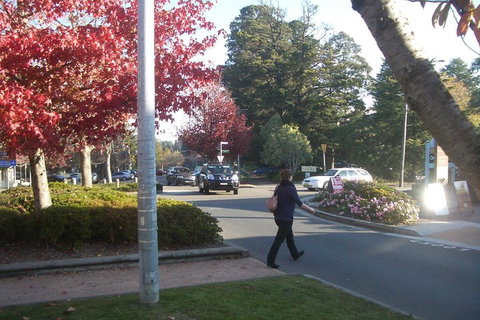 PRIVATE All-Day Blue Mountains Tour With Professional Guide For Up To 4 People - South Australia Travel 1