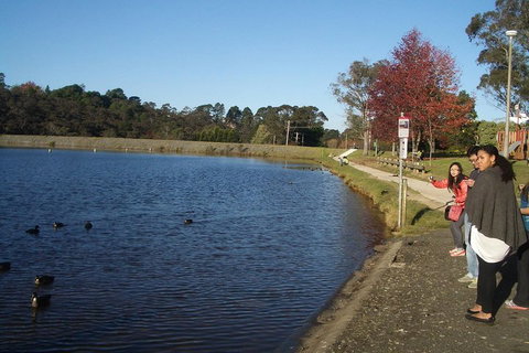PRIVATE All-Day Blue Mountains Tour With Professional Guide For Up To 4 People - South Australia Travel 2