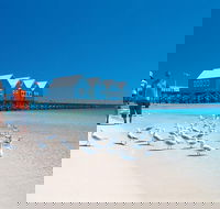 Margaret River and Geographe Bay Region Day Trip from Perth - South Australia Travel