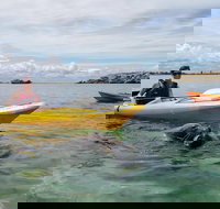 Seal Island and Penguin Island or Point Peron Sea Kayak Tour - South Australia Travel