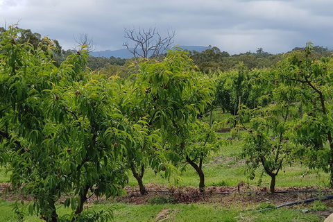 Yarra Valley Wineries And Rayners Orchard Tour From Melbourne - South Australia Travel 2