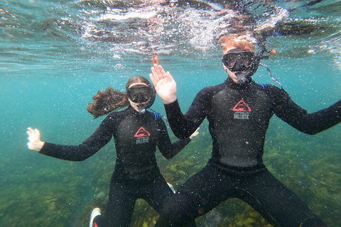 Manly Snorkel Trip And Nature Walk With Local Guide - South Australia Travel 3
