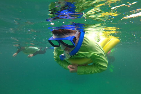 Manly Snorkel Trip And Nature Walk With Local Guide - South Australia Travel 5