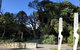 Perth Scavenger Hunt: Perched On A Swan - thumb 2
