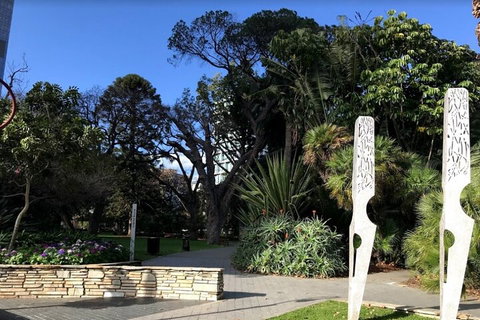 Perth Scavenger Hunt: Perched On A Swan - South Australia Travel 2