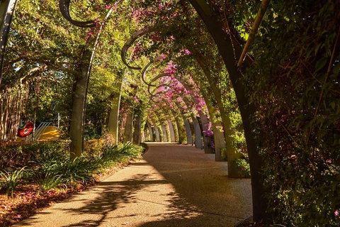 Brisbane Scavenger Hunt: Brisbane's South Bank! - South Australia Travel 3
