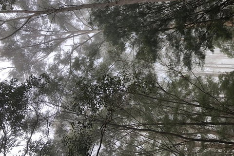 3d/2n Themed Camping Getaway - Private Campgrounds And National Parks - South Australia Travel 5