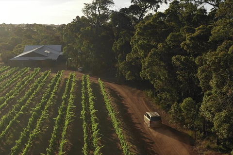 The All About Margaret River Tour: Wine, Coffee, Lunch And Forest - South Australia Travel 1