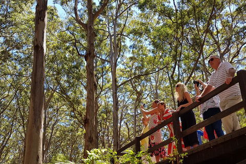 The All About Margaret River Tour: Wine, Coffee, Lunch And Forest - South Australia Travel 3