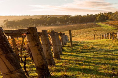 The All About Margaret River Tour: Wine, Coffee, Lunch And Forest - South Australia Travel 5