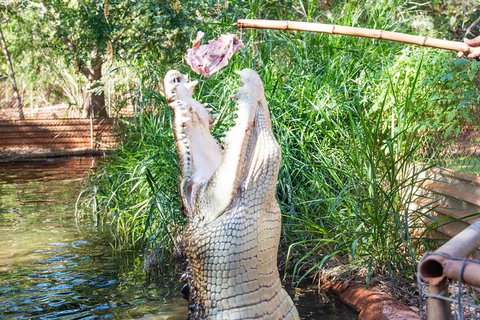3 In 1 Tour: Matsoâ€™s Brewery, Broome Museum & Malcolm Douglas Crocodile Park - South Australia Travel 3