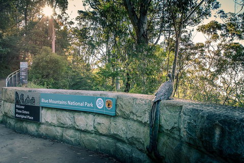 Ultimate Blue Mountains Waterfalls, Walks & Sunset PRIVATE Tour - South Australia Travel 3