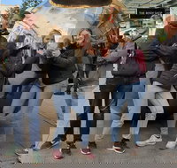 Guided Walking Tour in Adelaide - South Australia Travel