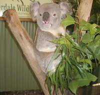 Private All Blue Mountains Day Tour